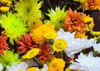 Garuhapé reunió a viveristas y floricultores de toda Misiones en una jornada técnica y comercial