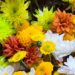 Garuhapé reunió a viveristas y floricultores de toda Misiones en una jornada técnica y comercial