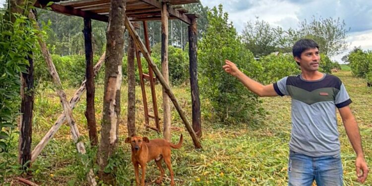 “Misiones Produce” impulsa el desarrollo desde las chacras, con valor agregado