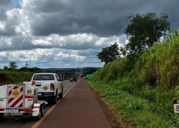 Misiones reparará la Ruta 14 ante el abandono de Nación