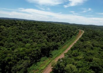 Misiones avanza con el Bono de Infraestructura y el primer Bono Verde respaldado por créditos de carbono