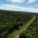 Misiones avanza con el Bono de Infraestructura y el primer Bono Verde respaldado por créditos de carbono