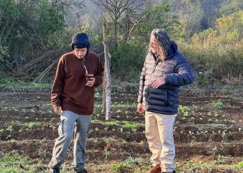 Alertan sobre la extranjerización de la tierra
