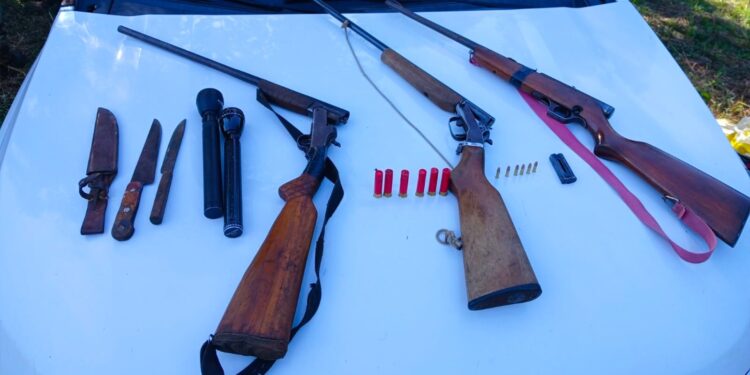 Guardaparques frustraron una cacería furtiva en la Reserva Yabotí y secuestraron tres armas de fuego