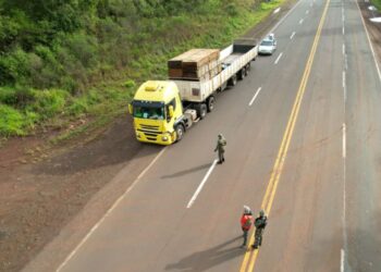 Ecología refuerza controles sobre el transporte de madera nativa en rutas del norte misionero