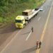 Ecología refuerza controles sobre el transporte de madera nativa en rutas del norte misionero