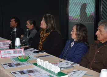 Unos 130 barrios formaron parte de las asambleas de Presupuesto Participativo