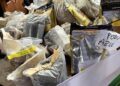 Misiones Produce entregó 270 kilos de semillas agroecológicas a casi 100 familias productoras