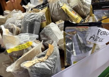 Misiones Produce entregó 270 kilos de semillas agroecológicas a casi 100 familias productoras