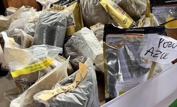 Misiones Produce entregó 270 kilos de semillas agroecológicas a casi 100 familias productoras
