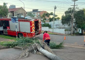 Un operario de EMSA cayó de un poste dañado por un incendio y sufrió lesiones