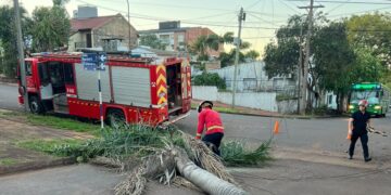 Un operario de EMSA cayó de un poste dañado por un incendio y sufrió lesiones