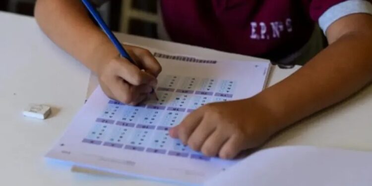 Aprender 2025: Misiones mejoró en Lengua y redujo al mínimo histórico el porcentaje de alumnos con bajo desempeño