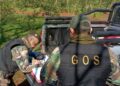 Cazadores furtivos detenidos, armas secuestradas y redes retiradas en áreas protegidas de Misiones