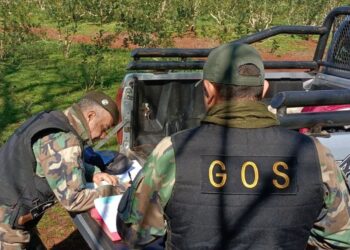 Cazadores furtivos detenidos, armas secuestradas y redes retiradas en áreas protegidas de Misiones