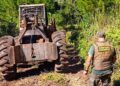 Ecología y madereros abrirán una mesa técnica frente al Registro Provincial de Infractores Ambientales