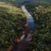 Misiones avanza con su plan para monetizar la selva y espera una decisión clave de Nación
