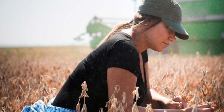 Un grupo de mujeres dirigentes de Misiones pidió a los senadores rechazar la reforma de la Ley de Tierras