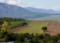 Exdiputados misioneros rechazaron cualquier reforma que facilite la extranjerización de tierras rurales