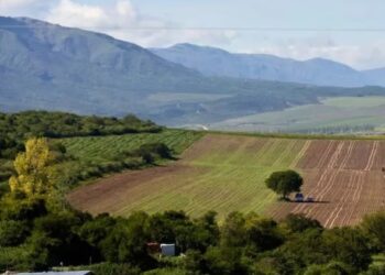 Exdiputados misioneros rechazaron cualquier reforma que facilite la extranjerización de tierras rurales