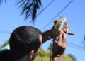 Inicia la inscripción para capacitar a docentes en la prevención del Aedes aegypti y el dengue