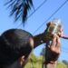Inicia la inscripción para capacitar a docentes en la prevención del Aedes aegypti y el dengue