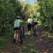 Profundidad será sede de la Copa Argentina de Ciclismo de Montaña