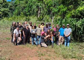 Impulsan la arborización con especies nativas para fortalecer la producción sustentable de yerba mate en Misiones