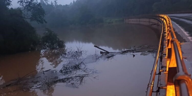 Misiones mantiene tres pasos fronterizos habilitados y corta el tránsito en dos puentes de la Ruta 12