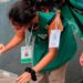 En Posadas detectan criaderos de Aedes aegypti en el 7,4% de las viviendas y refuerzan tareas de descacharrado