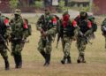 Operativo militar contra el ELN deja diez guerrilleros muertos tras un bombardeo en Colombia