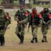 Operativo militar contra el ELN deja diez guerrilleros muertos tras un bombardeo en Colombia