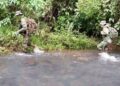 Misiones intensifica el patrullaje en zonas críticas de la selva para frenar la caza furtiva