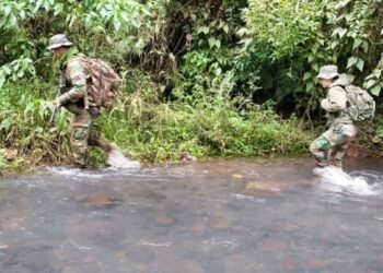 Misiones intensifica el patrullaje en zonas críticas de la selva para frenar la caza furtiva