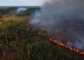 Incendios forestales disparan la contaminación del aire en la región amazónica de Brasil