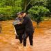 Las personas evacuadas por el temporal en Misiones retornan a sus hogares