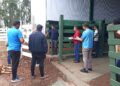 El Matadero Bovino del Alto Uruguay obtuvo la habilitación en El Soberbio