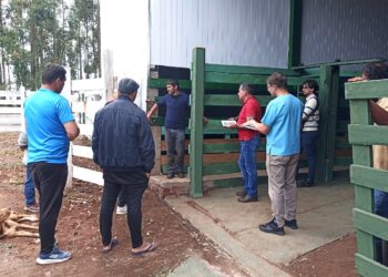 El Matadero Bovino del Alto Uruguay obtuvo la habilitación en El Soberbio
