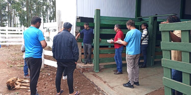 El Matadero Bovino del Alto Uruguay obtuvo la habilitación en El Soberbio