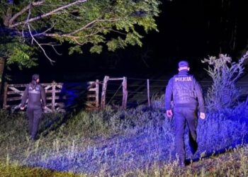 Un centenar de policías reforzó la seguridad nocturna en cuatro barrios de Posadas