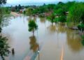 Más de 400 personas permanecen en centros de asistencia por la crecida del río Paraná en Corrientes
