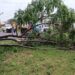 Tras el temporal en Posadas realizan trabajos de limpieza y control de daños
