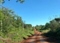 Passalacqua ordenó acciones judiciales para frenar la venta de tierras a extranjeros en Misiones