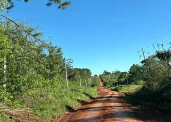 Passalacqua ordenó acciones judiciales para frenar la venta de tierras a extranjeros en Misiones