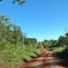 Passalacqua ordenó acciones judiciales para frenar la venta de tierras a extranjeros en Misiones