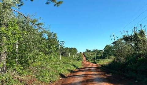 Passalacqua ordenó acciones judiciales para frenar la venta de tierras a extranjeros en Misiones
