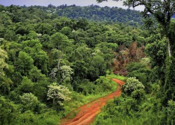 Misiones reafirmó su defensa de la Ley de Tierras y alertó sobre la concentración extrajera en zona de frontera