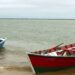 Rige la veda total de pesca en el río Uruguay y en noviembre sumarán el Paraná y el Iguazú