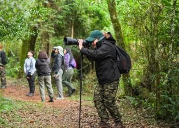Abren los cupos gratuitos para la cumbre internacional de observación de aves en Misiones