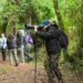 Abren los cupos gratuitos para la cumbre internacional de observación de aves en Misiones